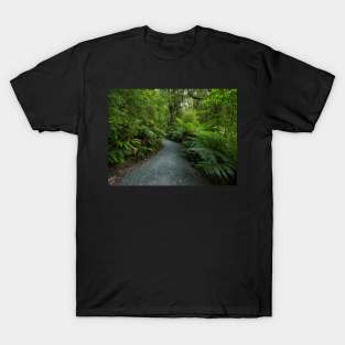 Forest Trail Series 2 T-Shirt